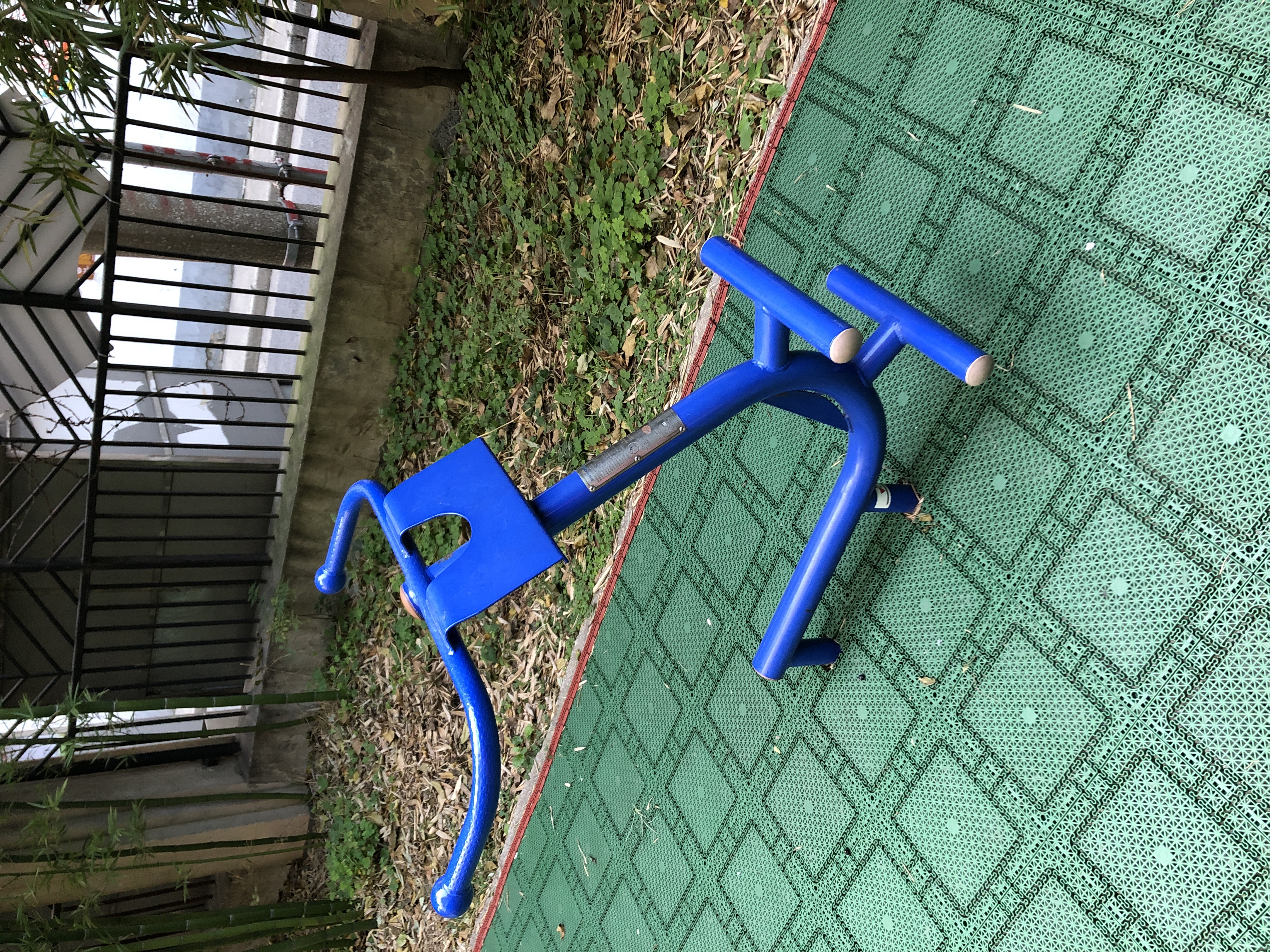 伸背器