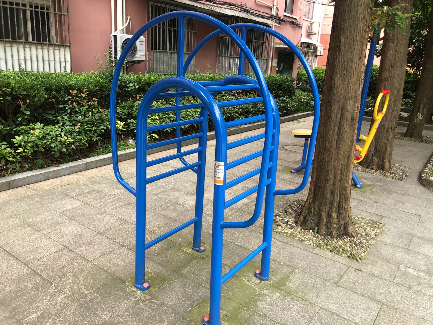 伸背器