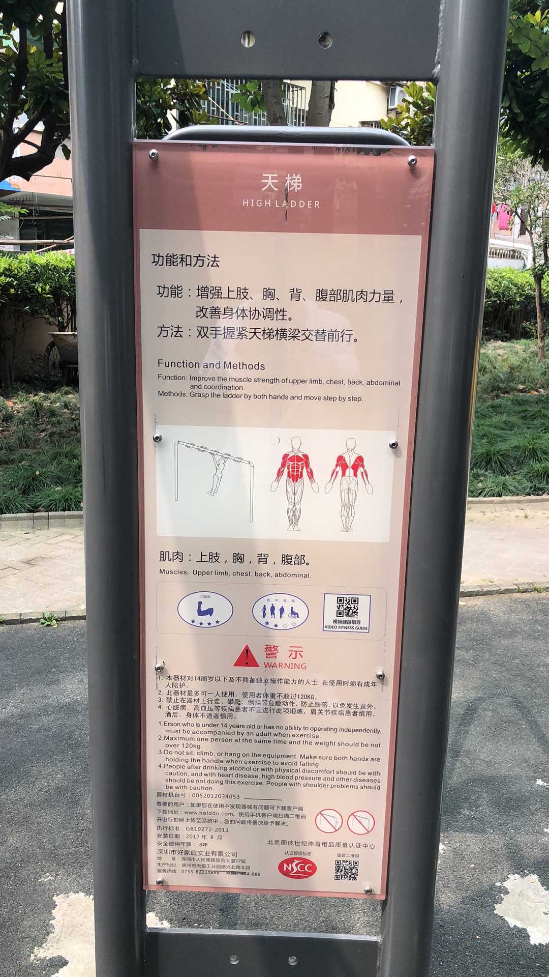 天梯