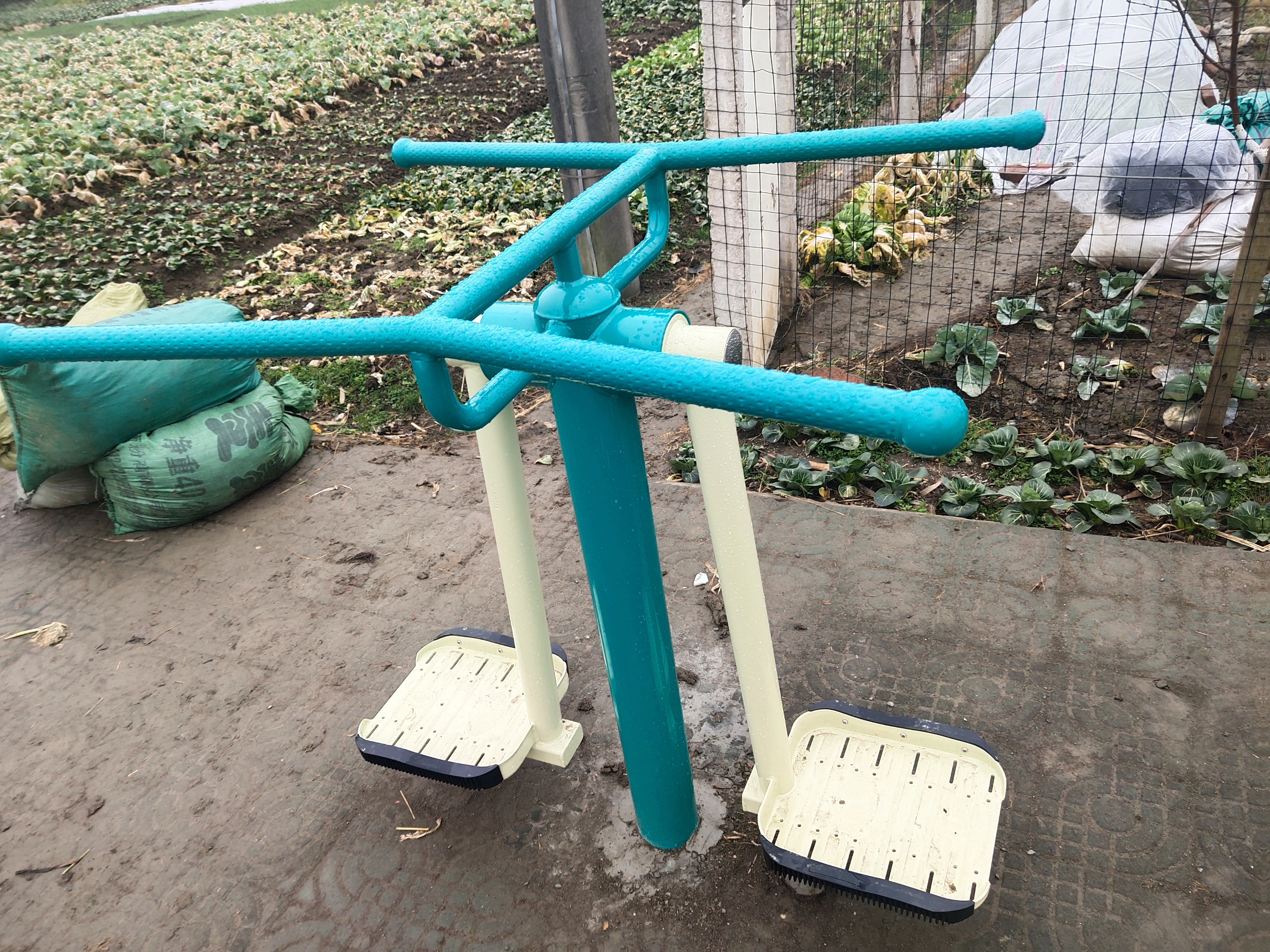 雙人鐘擺器