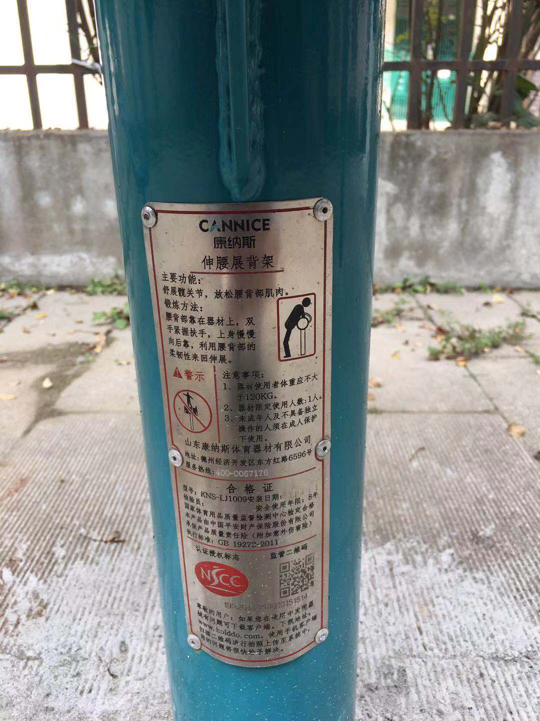 伸腰展背架