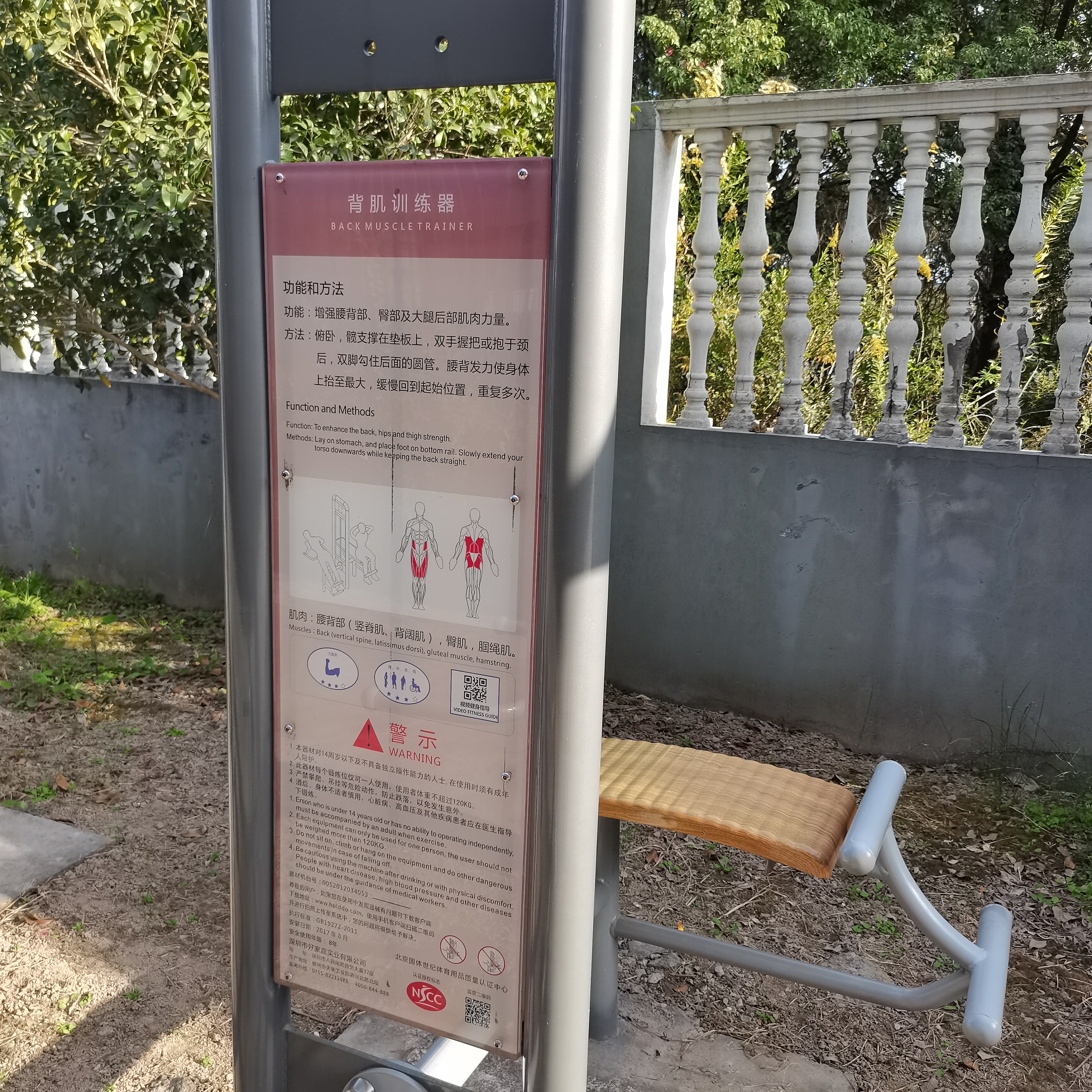 背腹肌训练器